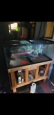 100 gallon glass fish tank for sale  Selden