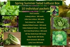 Lettuce seeds pack for sale  AYLESBURY