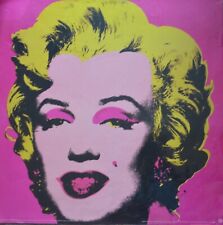 Andy warhol foundation for sale  SALISBURY