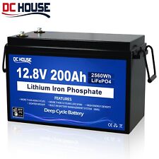 12v 200ah lifepo4 gebraucht kaufen  Bruchsal