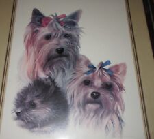 Yorkshire terrier yorkie for sale  Greensboro