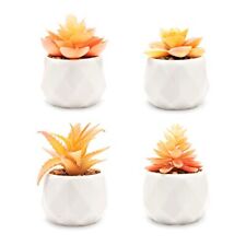 Artificial Succulent Plants in White Ceramic Pots for Desk Office Living Orange, used for sale  Shipping to South Africa