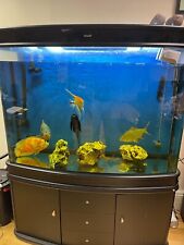 5ft cleair aquarium for sale  BARKING