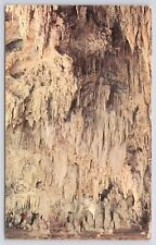 Carlsbad caverns new for sale  Brush Creek