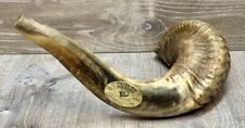 rams horn for sale  Harrisburg