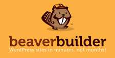 Beaver builder pro for sale  LONDON