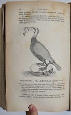 Ornitologia italiana fig. usato  Arezzo