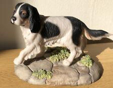 Teviotdale dog spaniel for sale  CHESTERFIELD