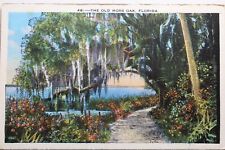Florida moss oak for sale  Wilmington