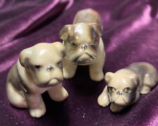 puppie english bulldog for sale  Mishicot