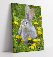 Bunny rabbit flower for sale  LONDONDERRY