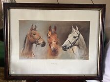 desert orchid for sale  LONDONDERRY