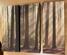 woodland canvas for sale  WESTON-SUPER-MARE