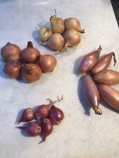 Assorted potato onions for sale  Shipping to Ireland