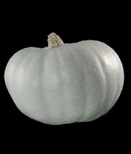 Vegetable winter squash for sale  WREXHAM