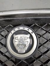 Jaguar type grill for sale  SOUTHAMPTON