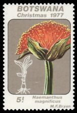 Used, BOTSWANA 194 - Christmas Lilies "Haemanthus magnificus" (pb83575) for sale  Shipping to South Africa