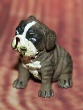 Bulldog puppy dog for sale  Tucson