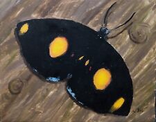 Oil painting butterfly for sale  Pueblo