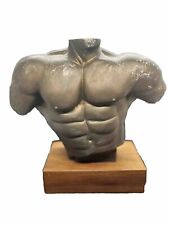 Male torso structure for sale  SIDCUP