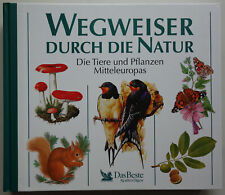 Wegweiser durch natur gebraucht kaufen  Diez