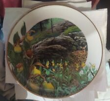 Vtg decorative plate for sale  Brazoria