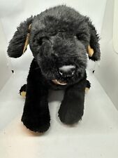 Black labrador dog for sale  STOURBRIDGE