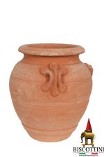 Biscottini vaso terracotta usato  Terricciola