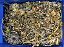Pounds unsorted jewelry for sale  Columbus