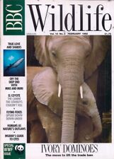 Bbc wildlife magazine for sale  SLOUGH
