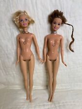Lote de bonecas Barbie Princesa e o Pauper Erica Anneliese TLC FUNCIONA MUITO BEM comprar usado  Enviando para Brazil