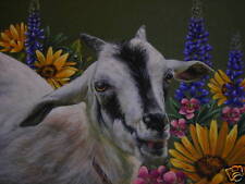Goat kid farm for sale  East Stroudsburg