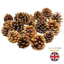 Natural pine cones for sale  DONCASTER