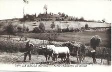 Reole ramassage foin d'occasion  Petite-Forêt