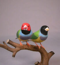 Pair gouldian finches for sale  Rosendale