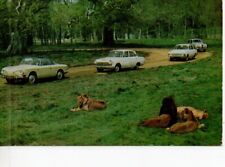 Vintage postcard lions for sale  MATLOCK