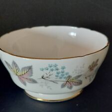 Paragon china for sale  DRIFFIELD