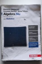 Algebra blu libro usato  Lodine