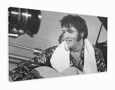 Elvis presley beautiful for sale  NEWRY