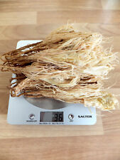 Naturally dried epiphyllum for sale  MORDEN