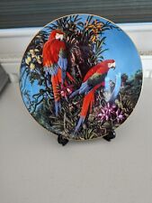 Macaw wedgewood plate for sale  CHELMSFORD