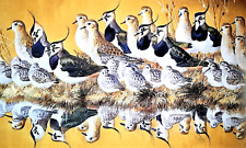 Lapwings dunlins. vintage for sale  NELSON