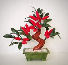 jade plant bonsai for sale  Shipping to Canada