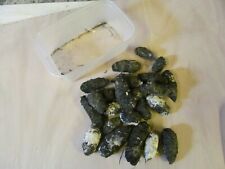 Barn owl pellets for sale  REDCAR