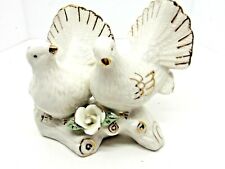 fantail pigeon pair for sale  Daytona Beach
