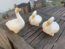 Set ducks life for sale  Houston