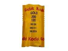 Kodak professional gold usato  Mezzocorona