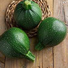 Round zucchini seeds for sale  Shasta Lake