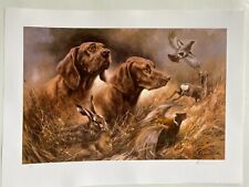 Vizsla dog art for sale  HELENSBURGH