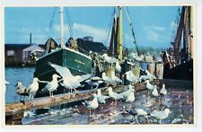 Sea gulls feasting for sale  Hummelstown